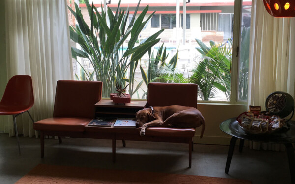 Bertoia's Den Kitchen | Orbit In, Palm Springs, CA Bertoia's Den Kitchen | Orbit In, Palm Springs, CA